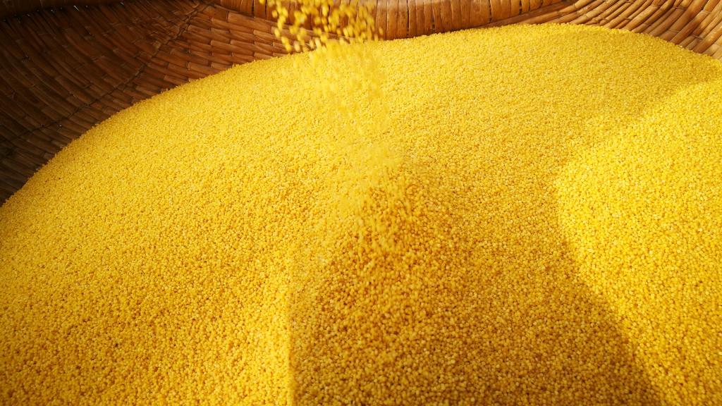 五谷杂粮粗粮小米图片