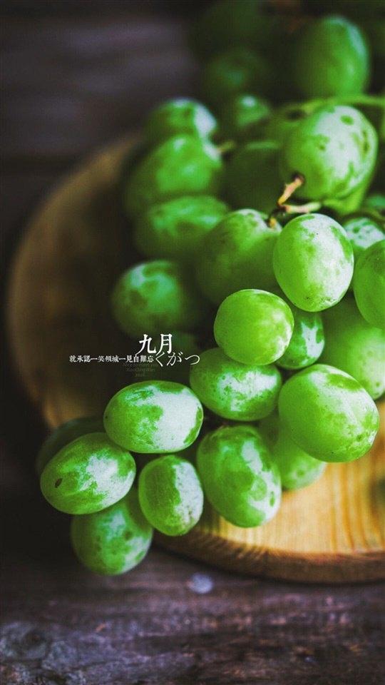 创意水果九月你好