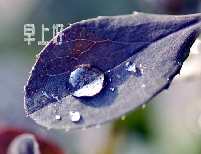 微商励志早安配图