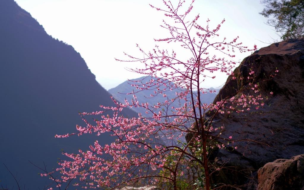 大自然绿色风景写真