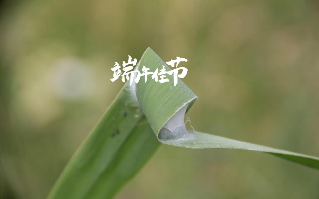 中国传统节日端午节