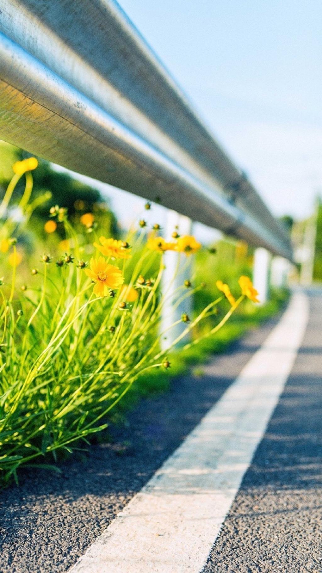 夏季小清新静物日系摄影