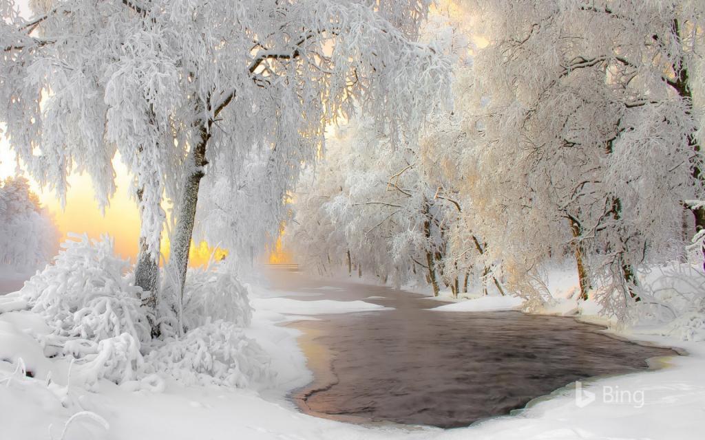 2018年 Bing雪景