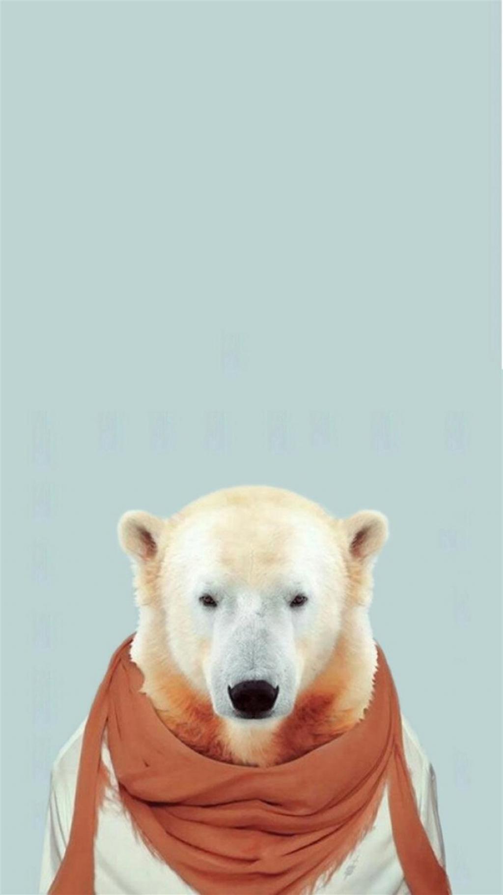 动物先生合集 第一辑