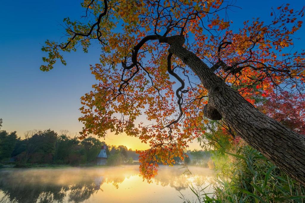 金秋十月极致美自然风光