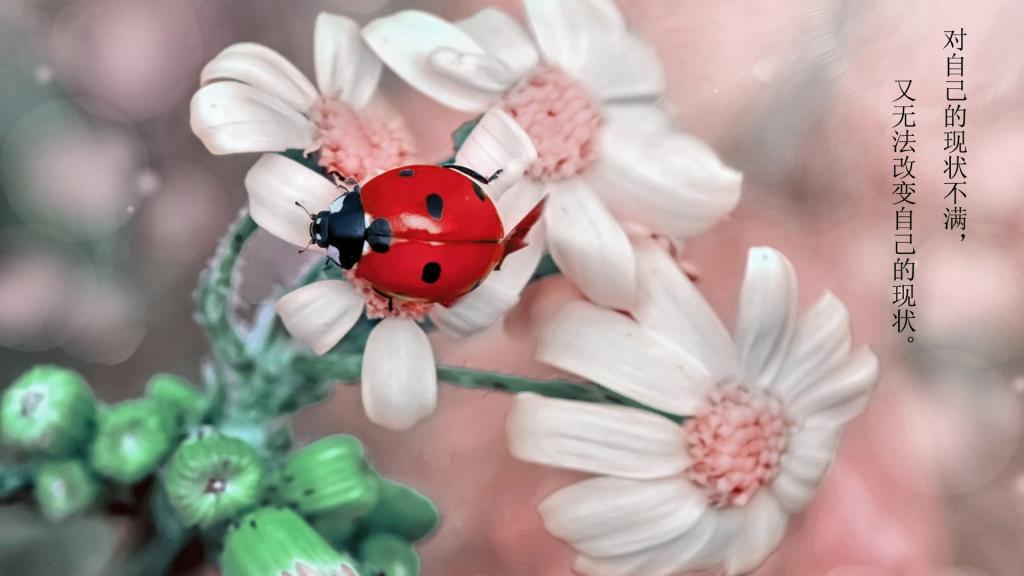 生活说说很现实的说说 