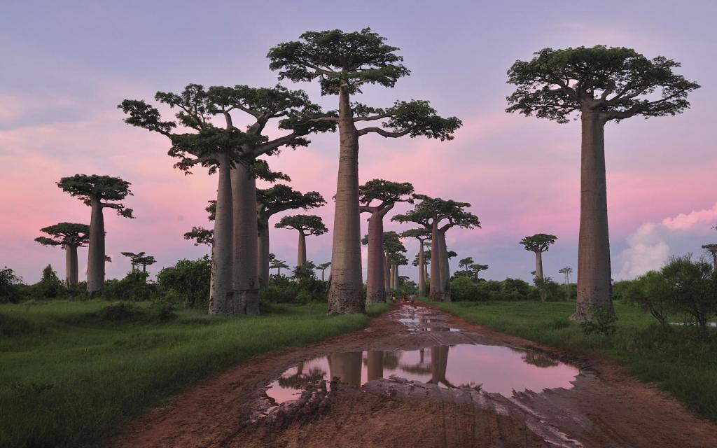 风光超大宽屏