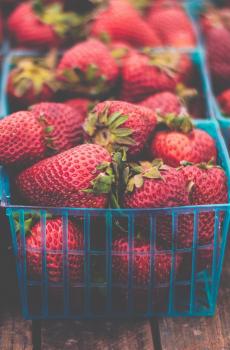 鲜艳亮丽的草莓-5