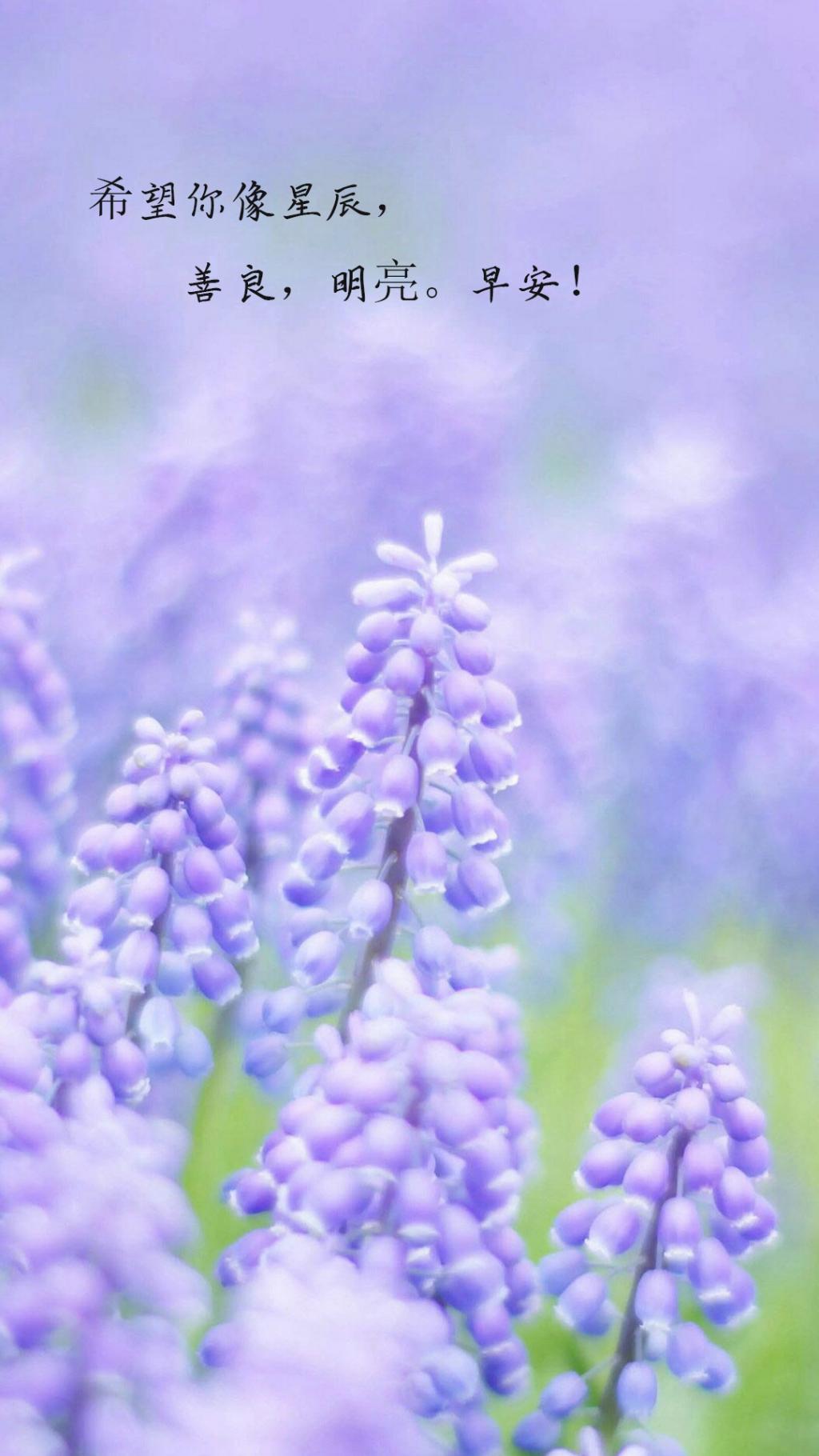 早安的心语说说配图