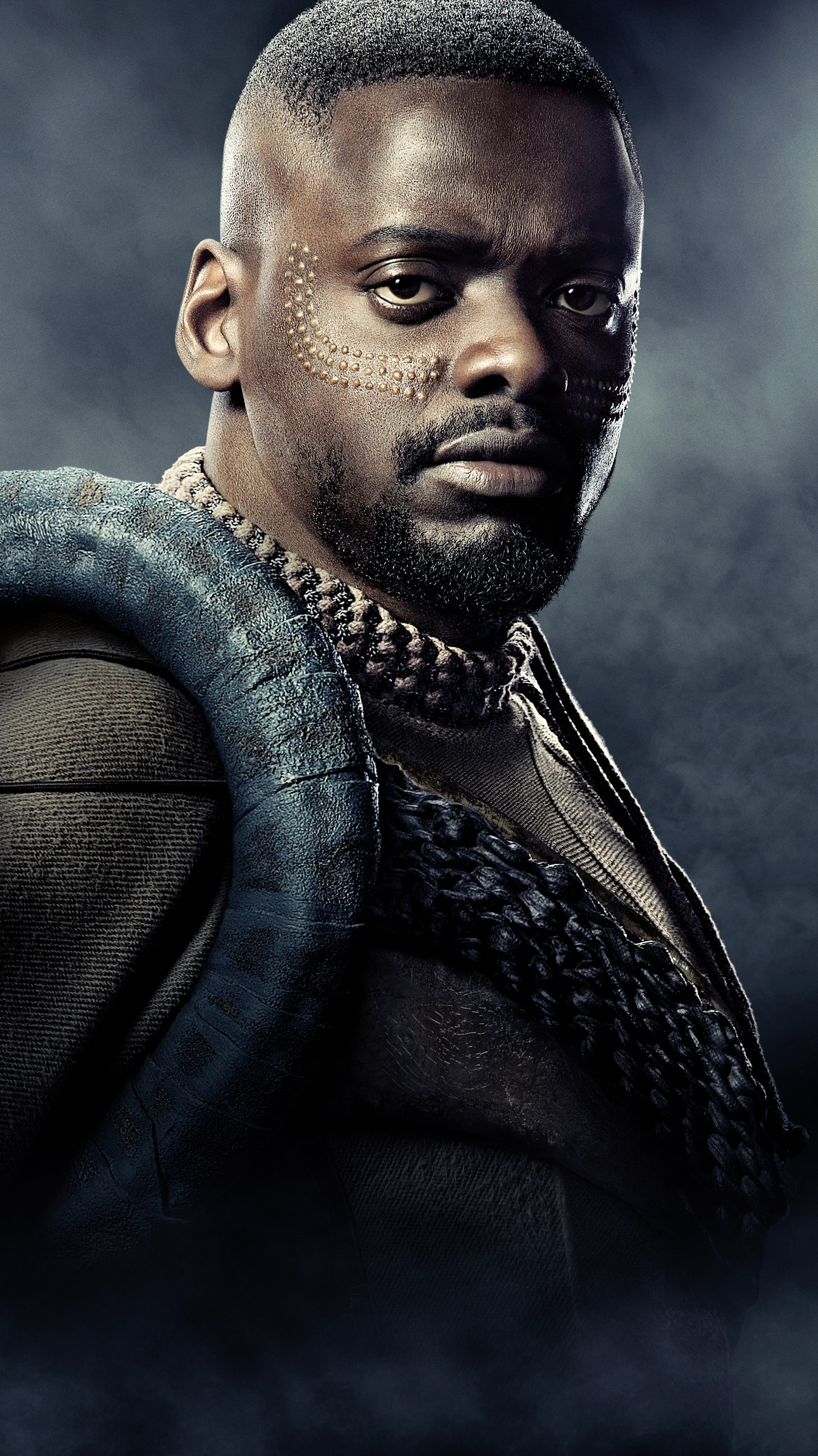 漫威宇宙电影《黑豹》(2018)