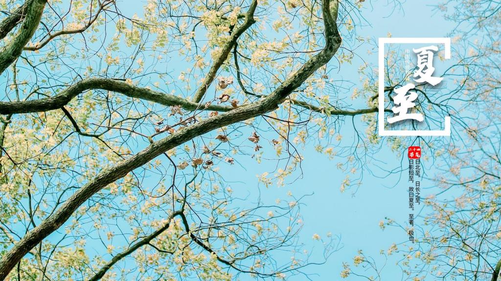 二十四节气之夏至