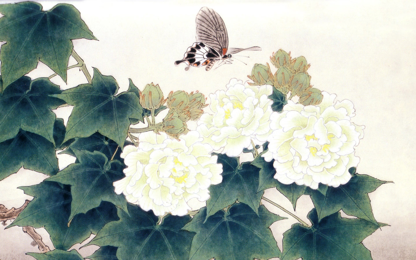 手绘花鸟 