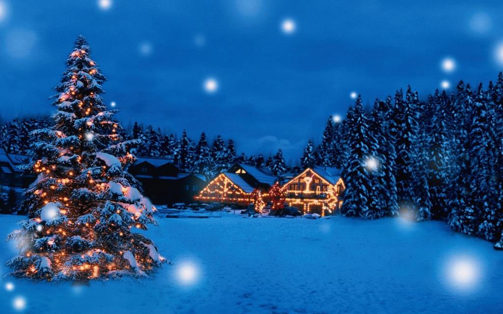 圣诞树创意静物写真