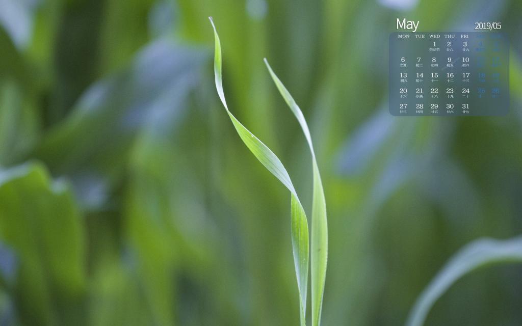 2019年5月小清新自然风光唯美写真日历