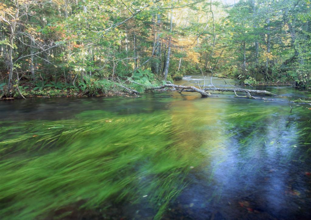 摄影山花烂漫的唯美风景
