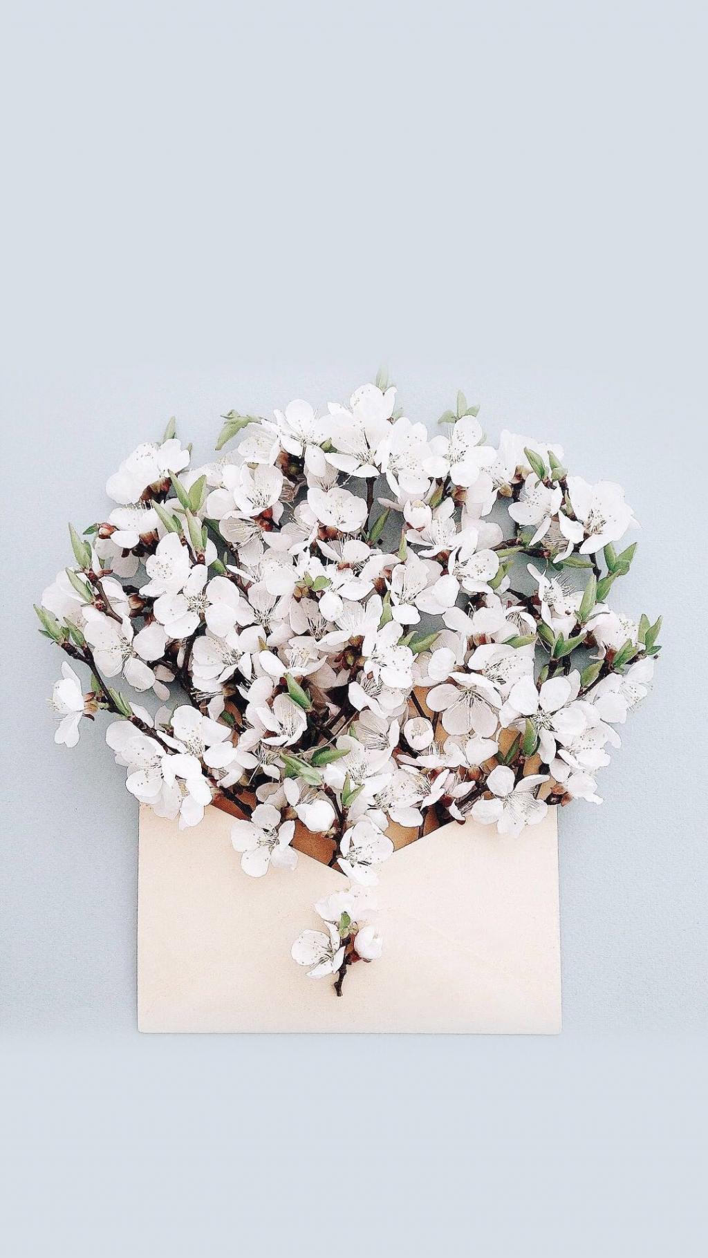 七夕情人节唯美鲜花