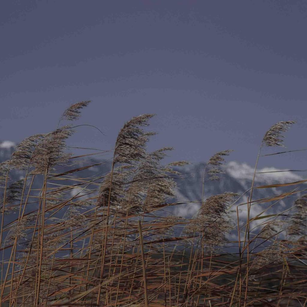 雪山绝美自然风光