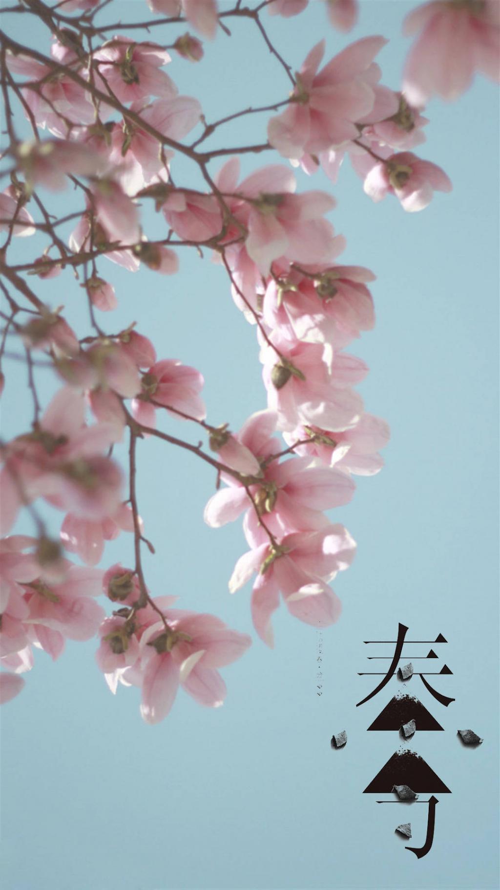 二十四节气之春分