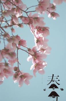 二十四节气之春分-1