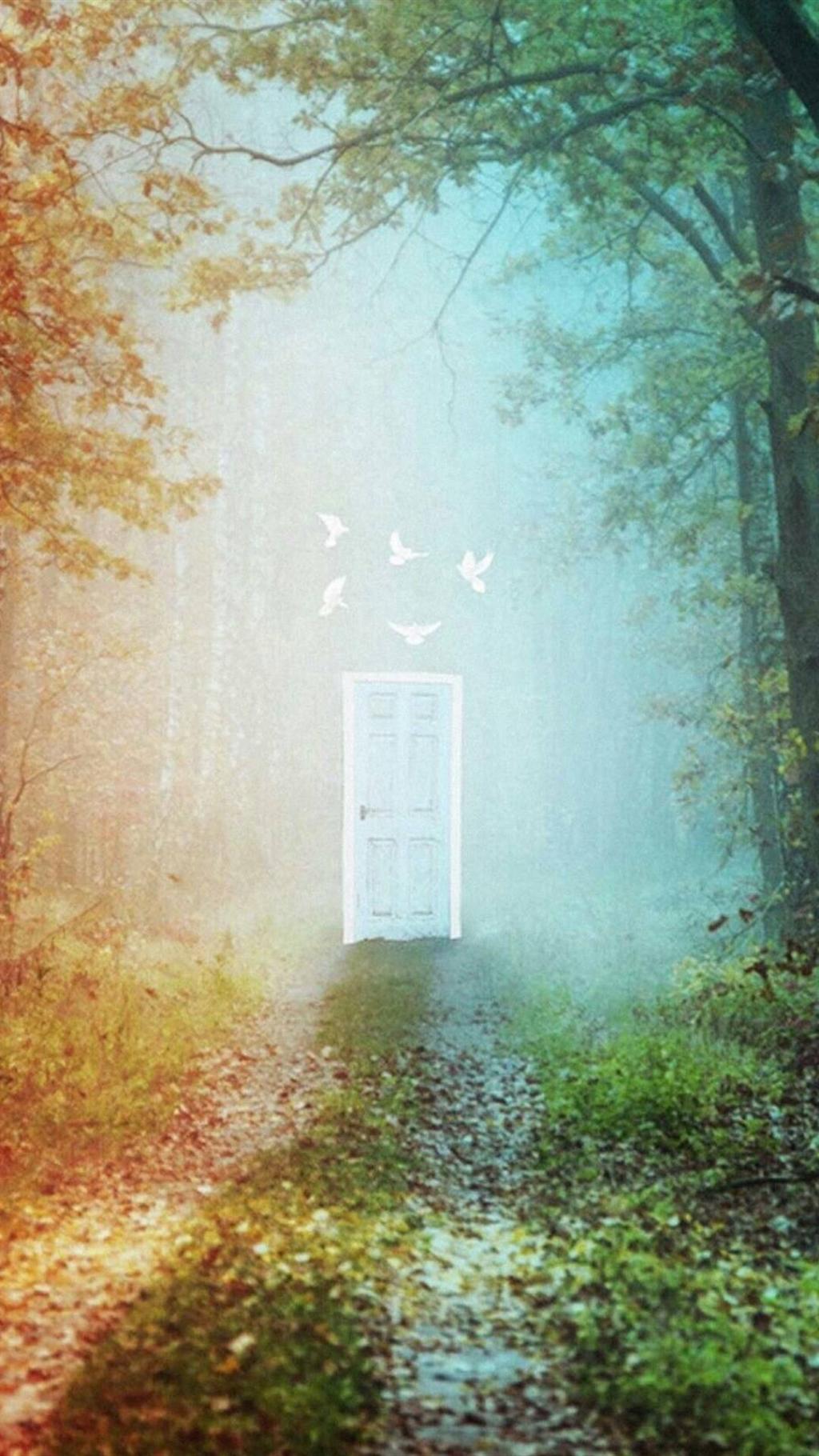 迷雾森林时空穿越之门