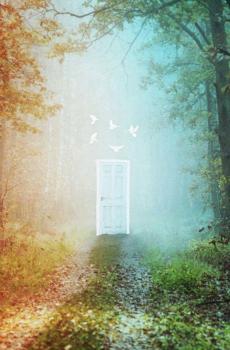 迷雾森林时空穿越之门