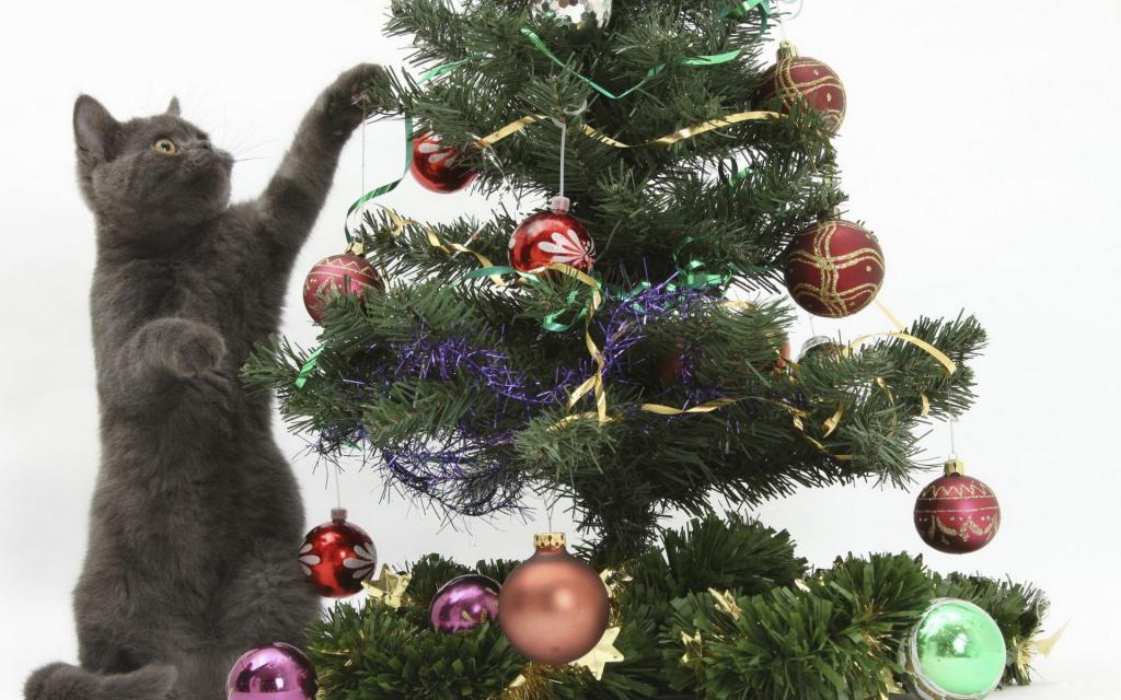 浪漫的圣诞节日