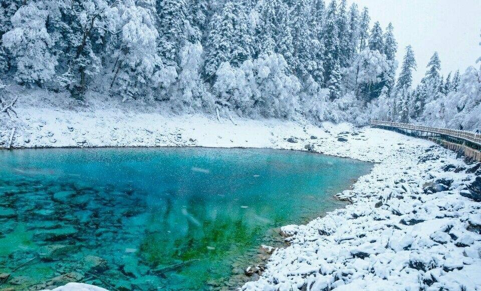 九寨沟白皑皑的唯美雪景