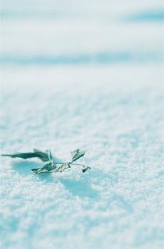 清凉雪地锁屏-3