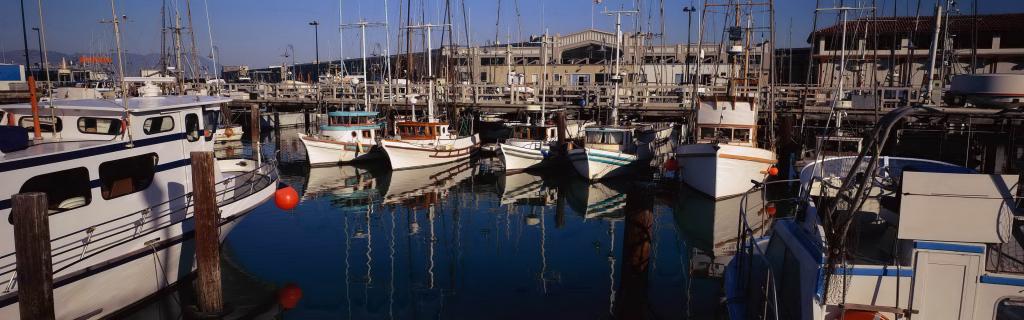 高清双屏自然风景