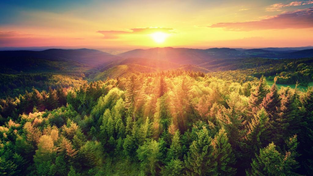 优美夕阳田野风光