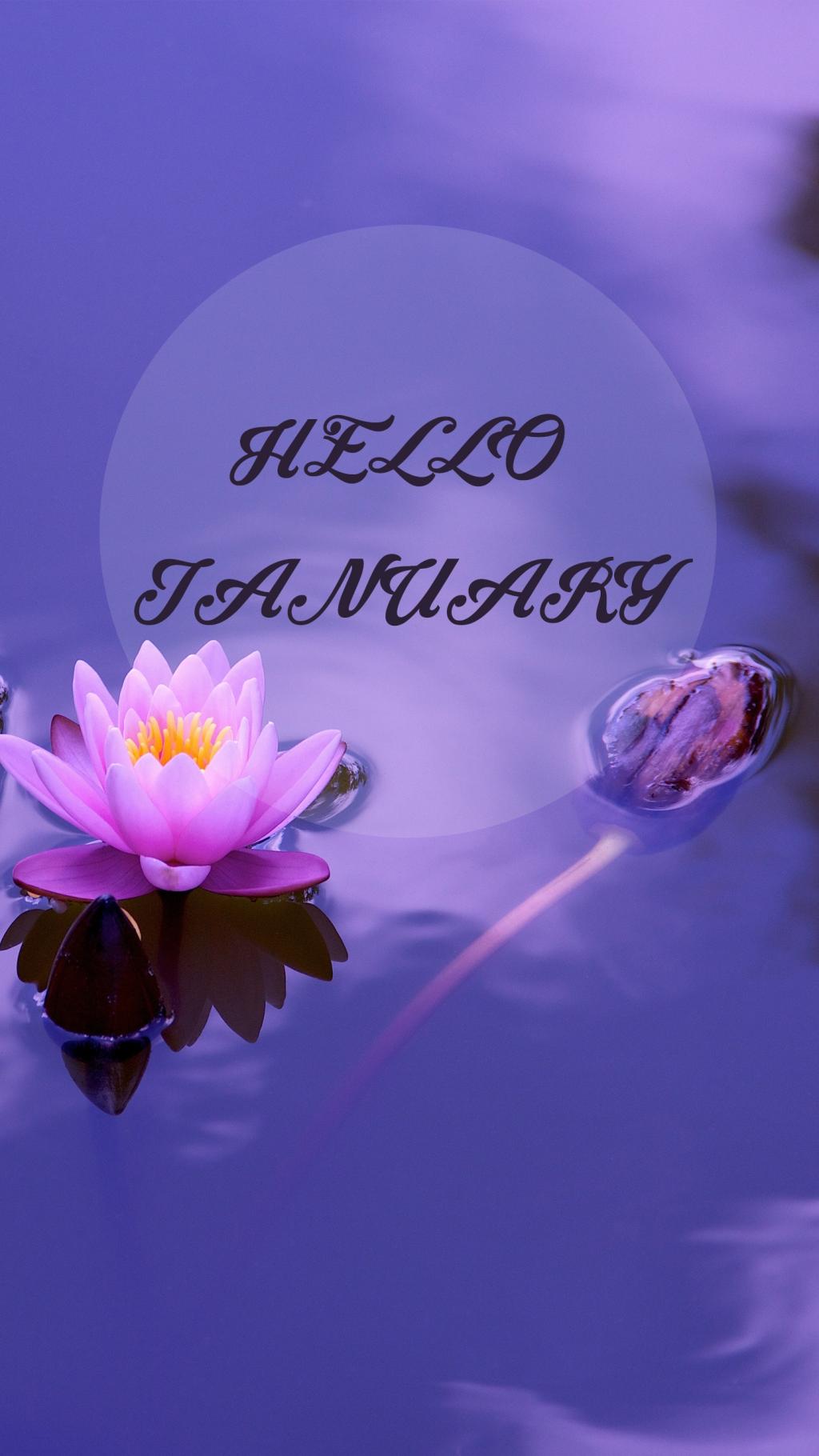 十二月再见,一月你好