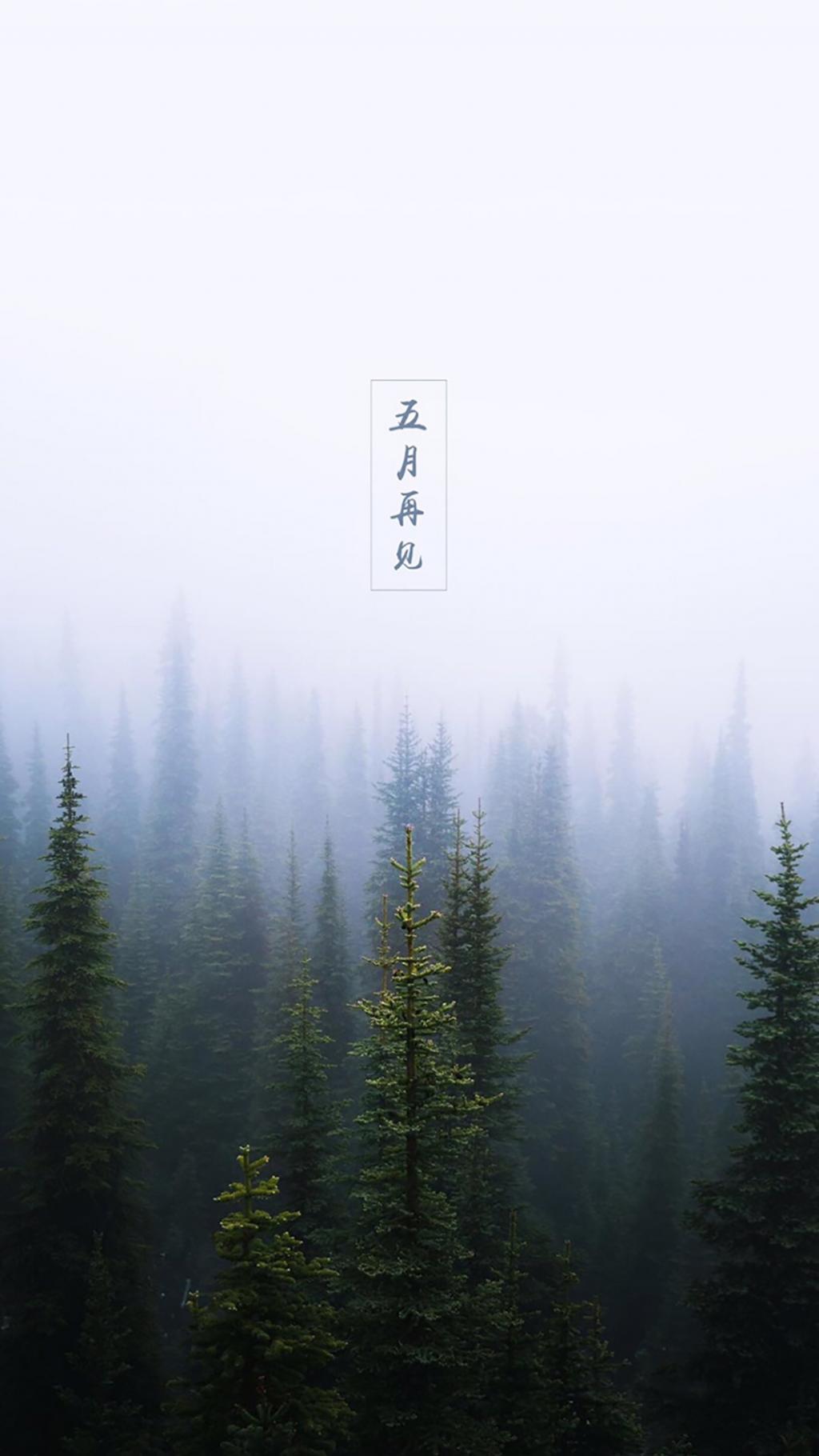 5月再见 6月你好