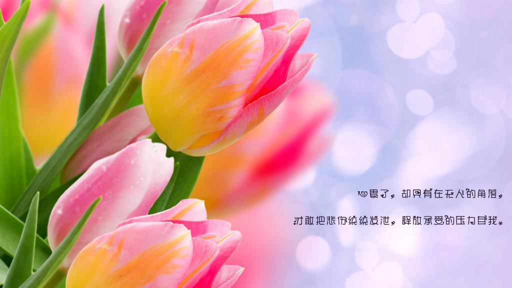 一个人心很累的文艺伤感句子图片