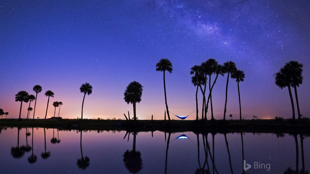 2017年 Bing官方风景