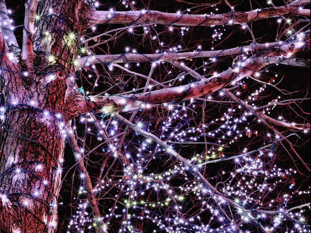 圣诞主题装饰品