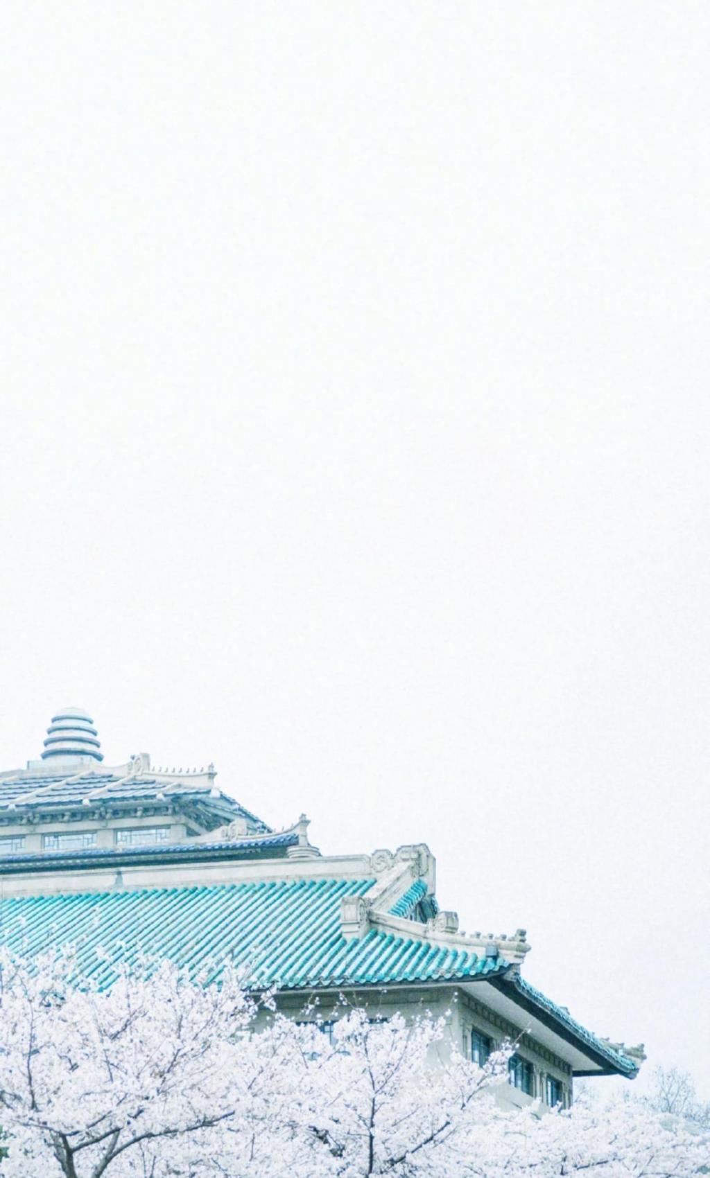 邂逅于唯美的浪漫樱花世界