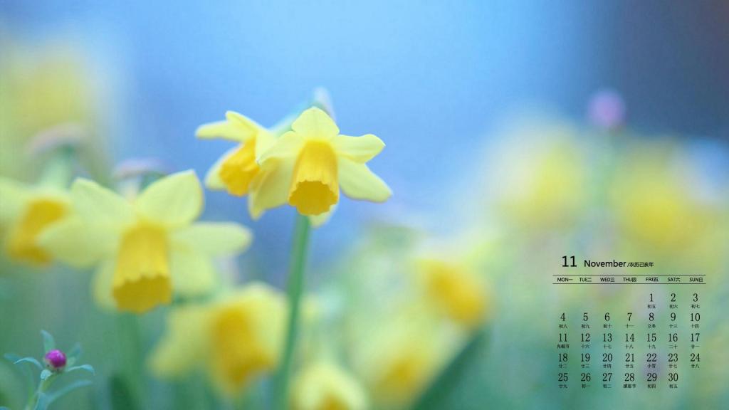 2019年11月小清新日历