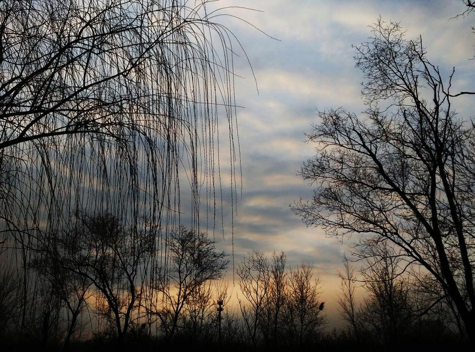 初春的早晨风景