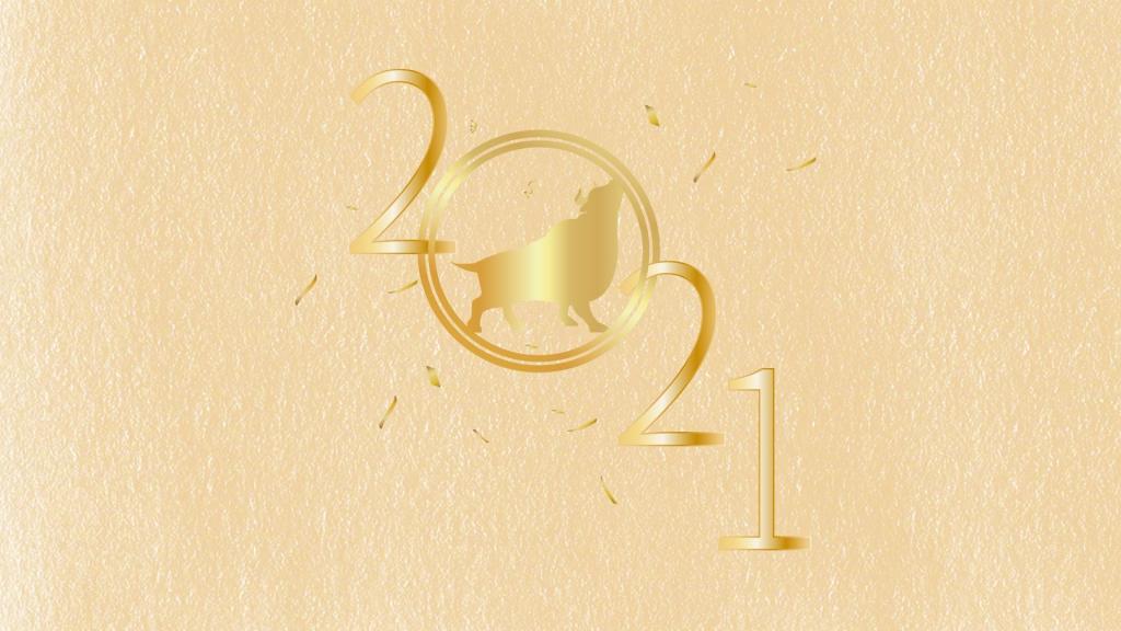 2021牛年简约数字背景图
