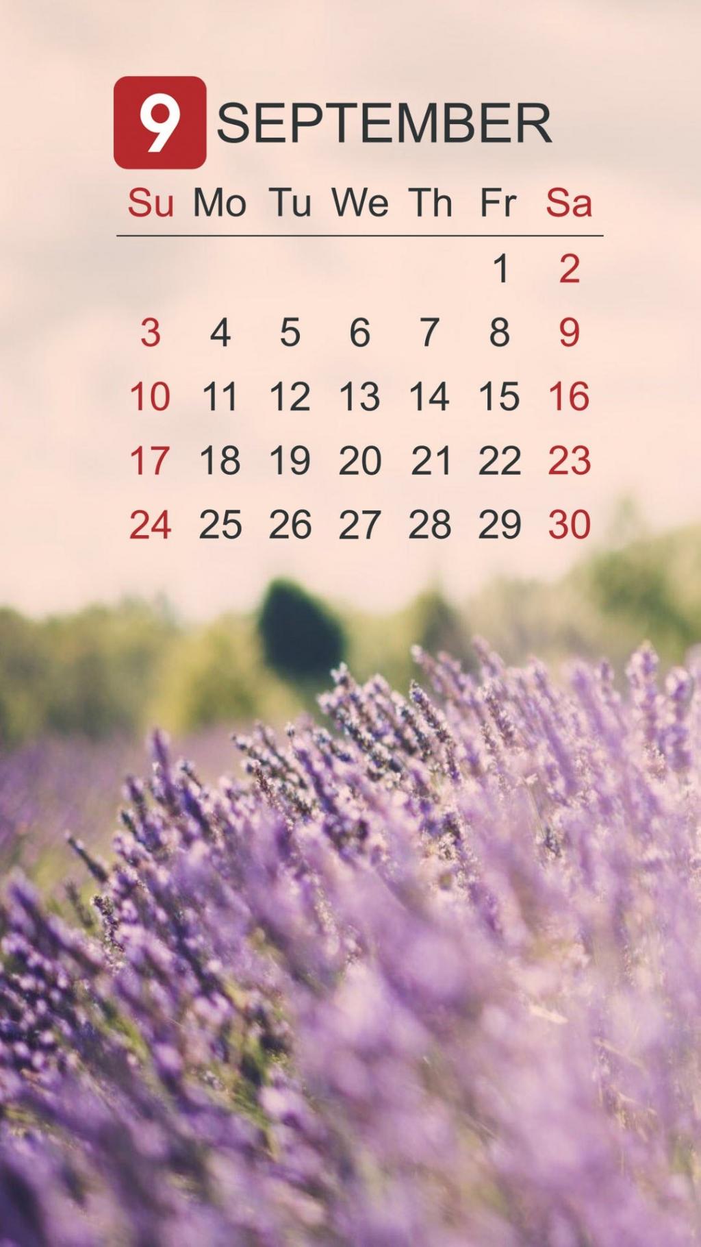 2017年九月薰衣草日历