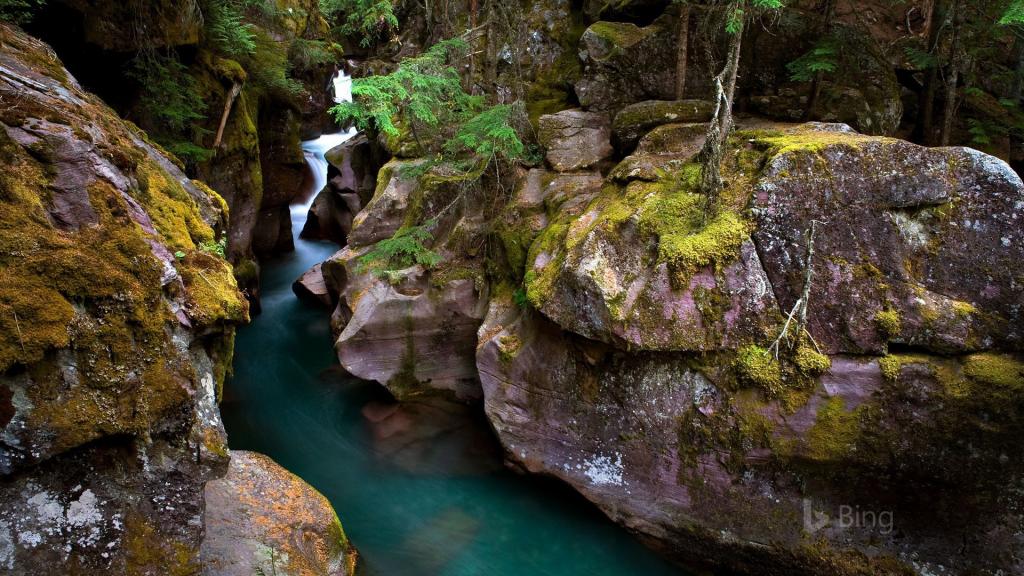 2017年Bing优美风景