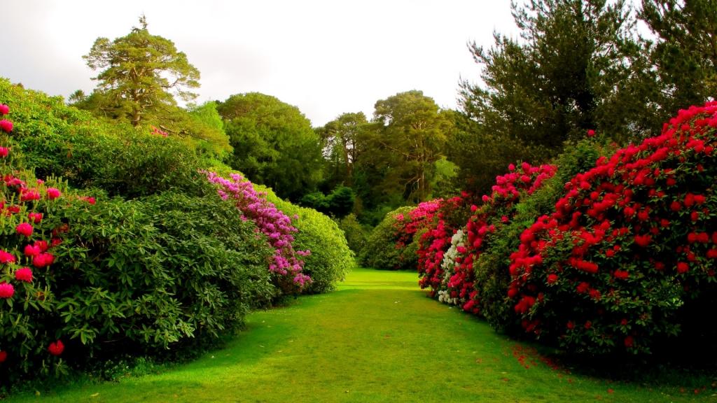 鸟语花香的花园