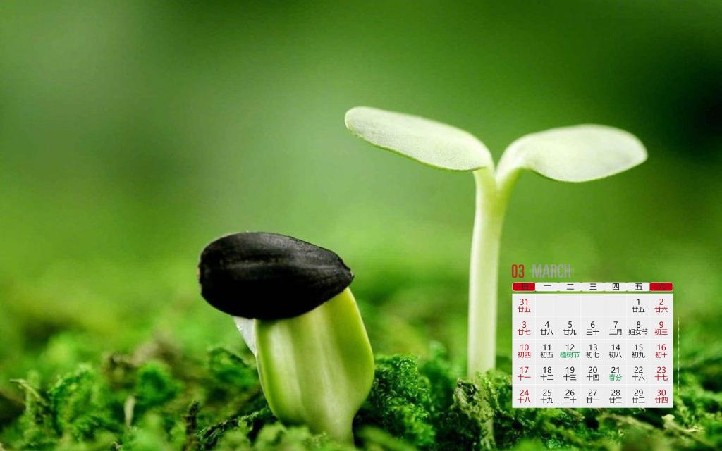 2019年3月绿色满人间日历