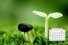 2019年3月绿色满人间日历