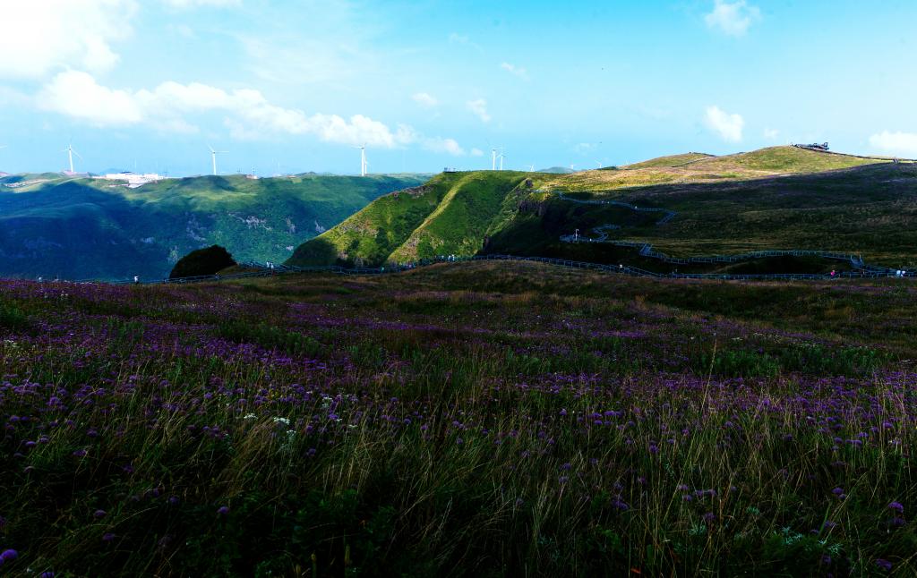 迷人的贵州屋脊韭菜坪