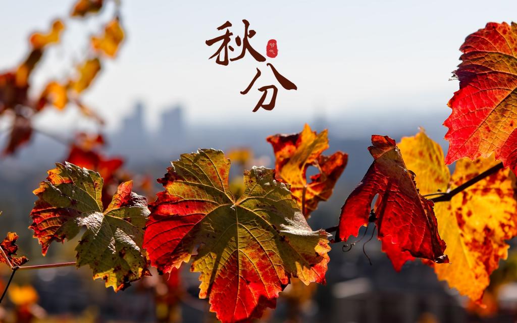 凉凉秋分送关怀