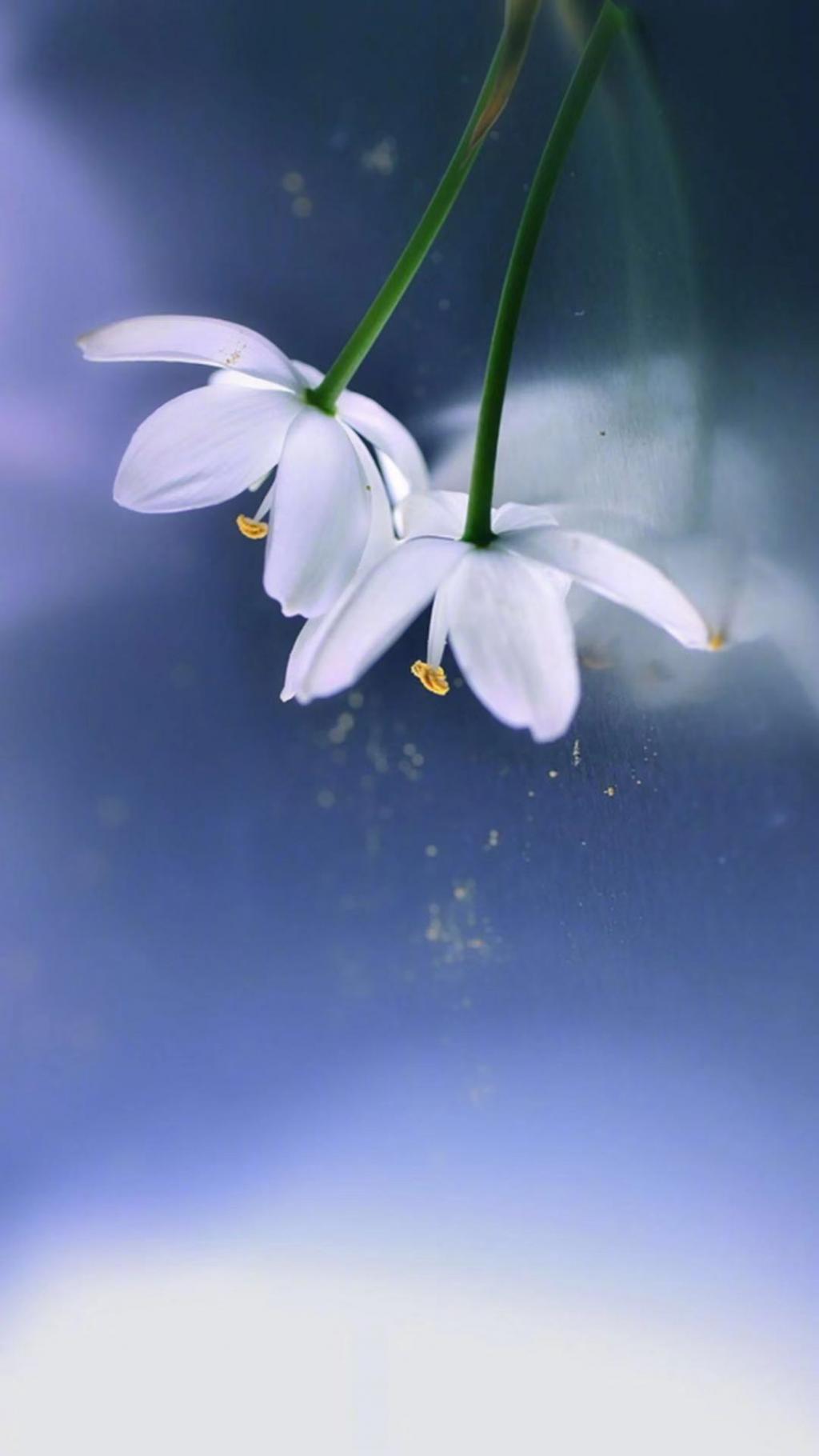 遇见八月的小清新