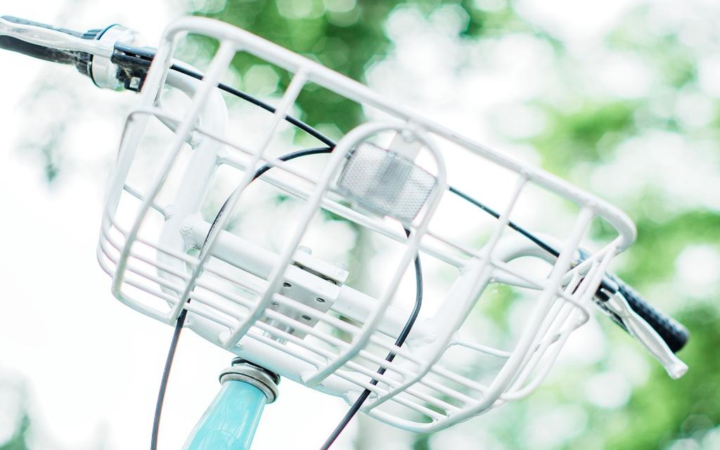 清凉的夏季来了