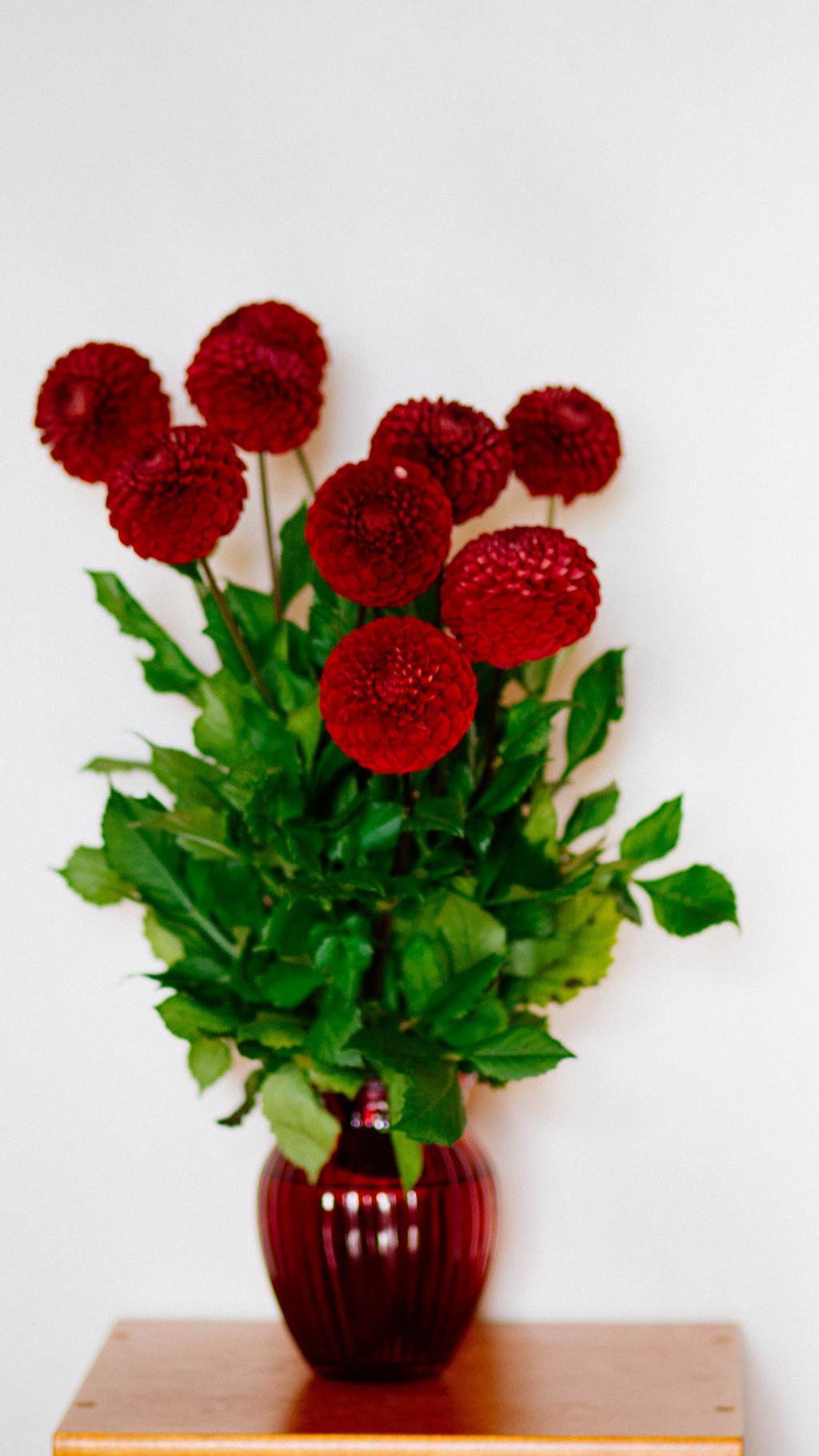 唯美的鲜花盆栽