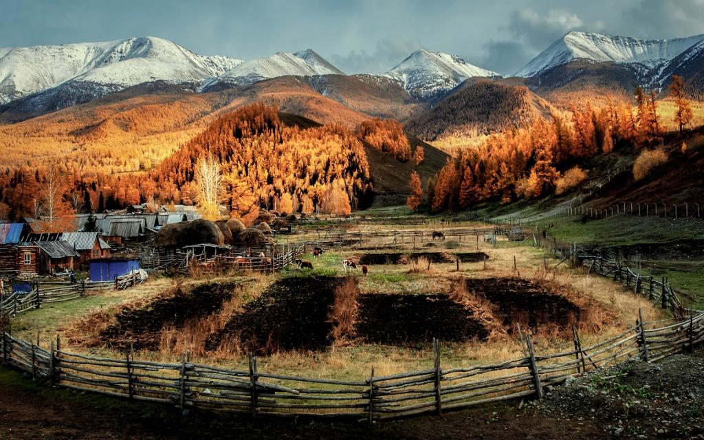 新疆白哈巴自然风光